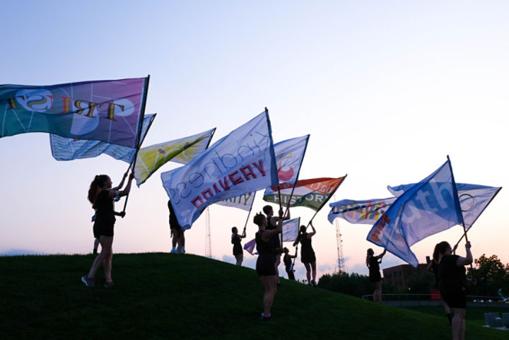 Artist Flags